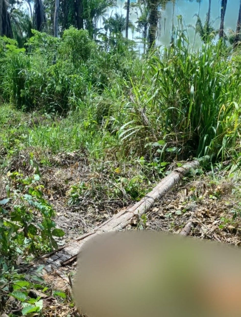 Corpo foi achado em uma fazenda que fica na Estrada do Panorama, em Rio Branco — Foto: Reprodução