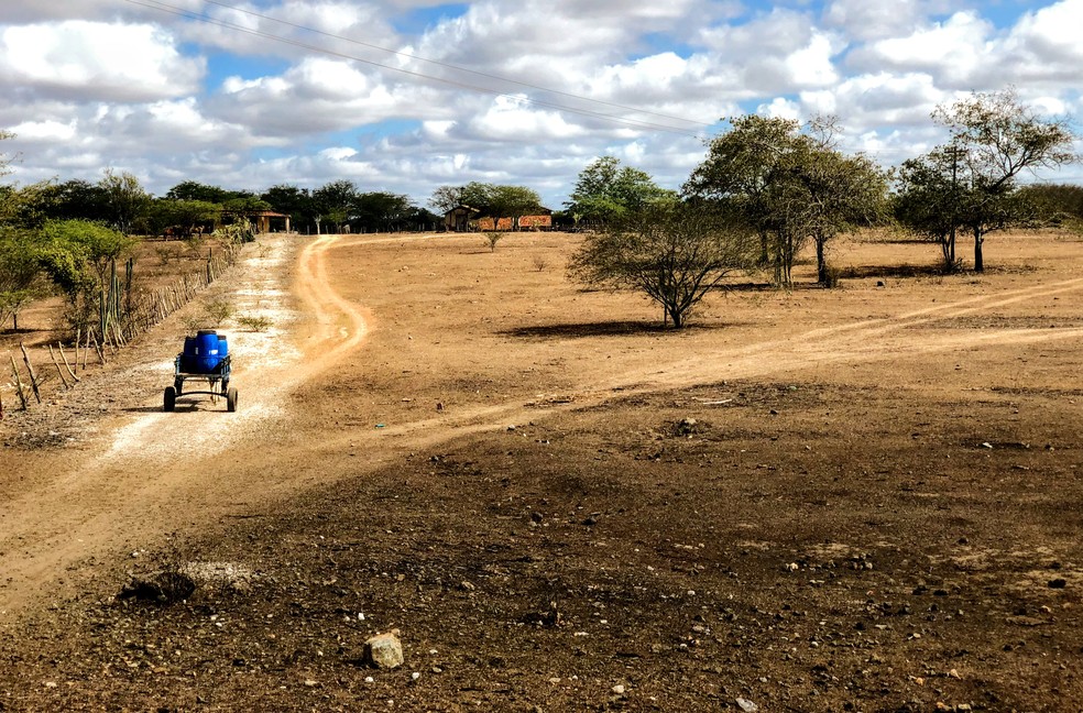 Seca deixa famÃ­lias do SertÃ£o de Alagoas em situaÃ§Ã£o difÃ­cil â Foto: Yasmin Pontual/TV Gazeta