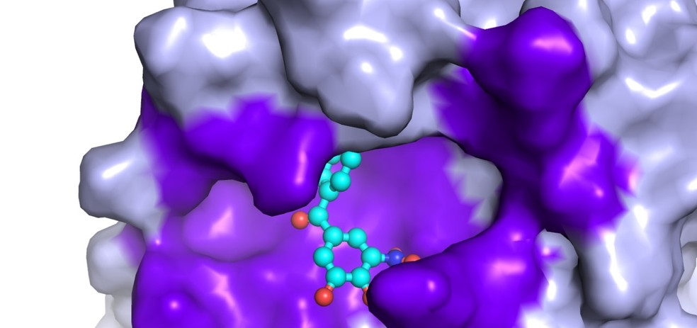 Representação da ação do composto ativo do fármaco interagindo com a proteína do coronavírus — Foto: CNPEM/Divulgação