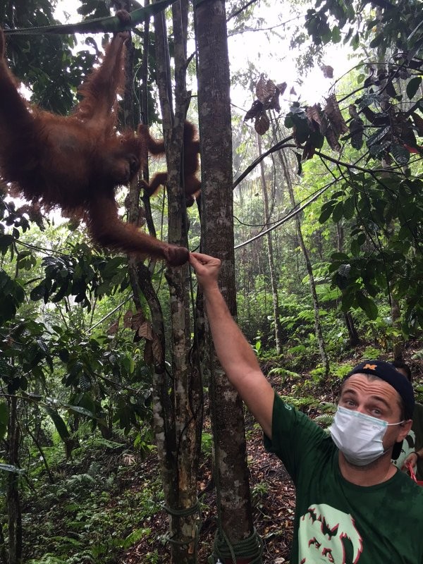 Leonardo DiCaprio com os macacos (Foto: Twitter)