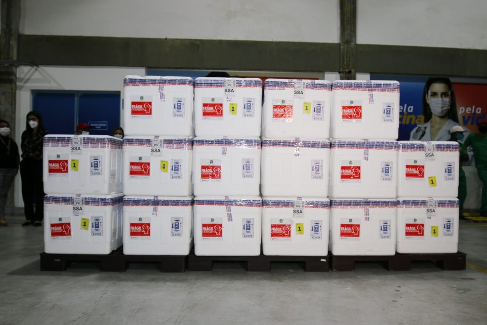 Avi&atilde;o com mais de 178 mil doses da CoronaVac chega a Bahia &mdash; Foto: Rafael Menezes/Sesab