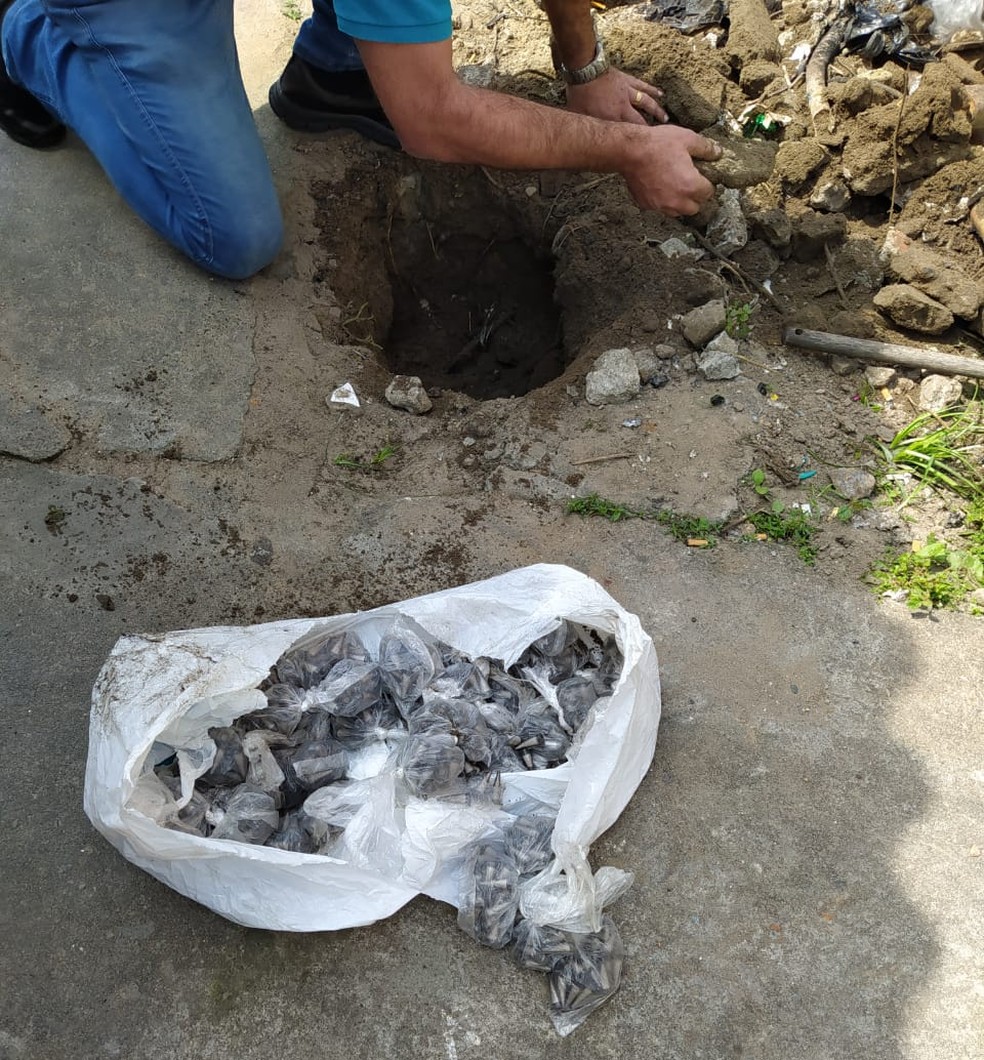 Drogas estavam enterradas no quintal de casa em Itanhaém, SP — Foto: Divulgação/Polícia Civil