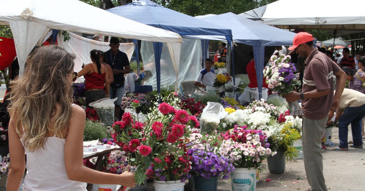 Pesquisas em Campina Grande e João Pessoa elencam preço de rosas