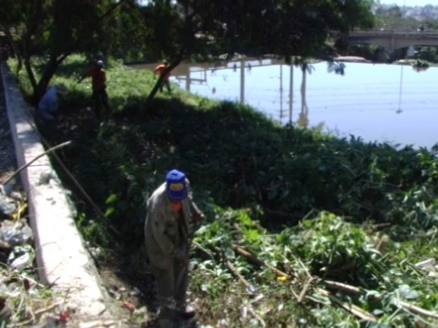 Equipe limpa região conhecida como Carrapateiro, às margens do Itapecerica (Foto: TV Integração/Reprodução)