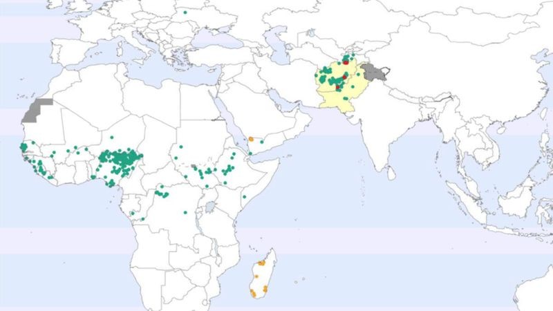 Paquistão e Afeganistão (pintados de amarelo no mapa) são os únicos dois países com poliomielite endêmica. Na África, na Ucrânia e no Iêmen foram registrados alguns casos raros de pólio por derivado vacinal (Foto: Polio Global Erradication Initiative via BBC News Brasil)