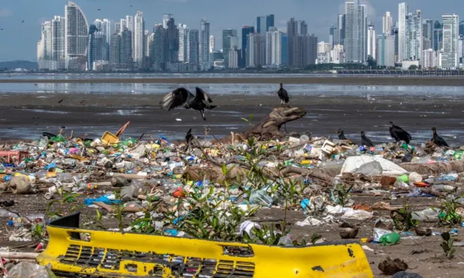 Abutres procuram comida entre o lixo, incluindo lixo plástico, em uma praia perto do bairro Costa del Este, na Cidade do Panamá