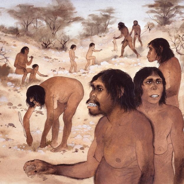 Hominídeos do passado se tornaram bípedes nas savanas, diz estudo (Foto: SCIENCE PHOTO LIBRARY)