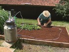 Embrapa cria um sistema de irrigação que economiza água e energia elétrica