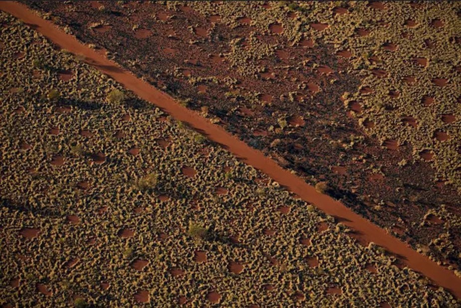 As bolas de terra batida povoam os desertos australianos e eram um mistério da ciência