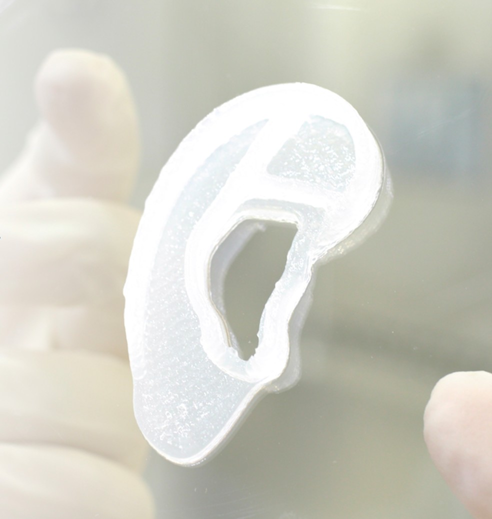 Orelha impressa em 3D usando células de pacientes pode ser um avanço para medicina regenerativa — Foto: Divulgação