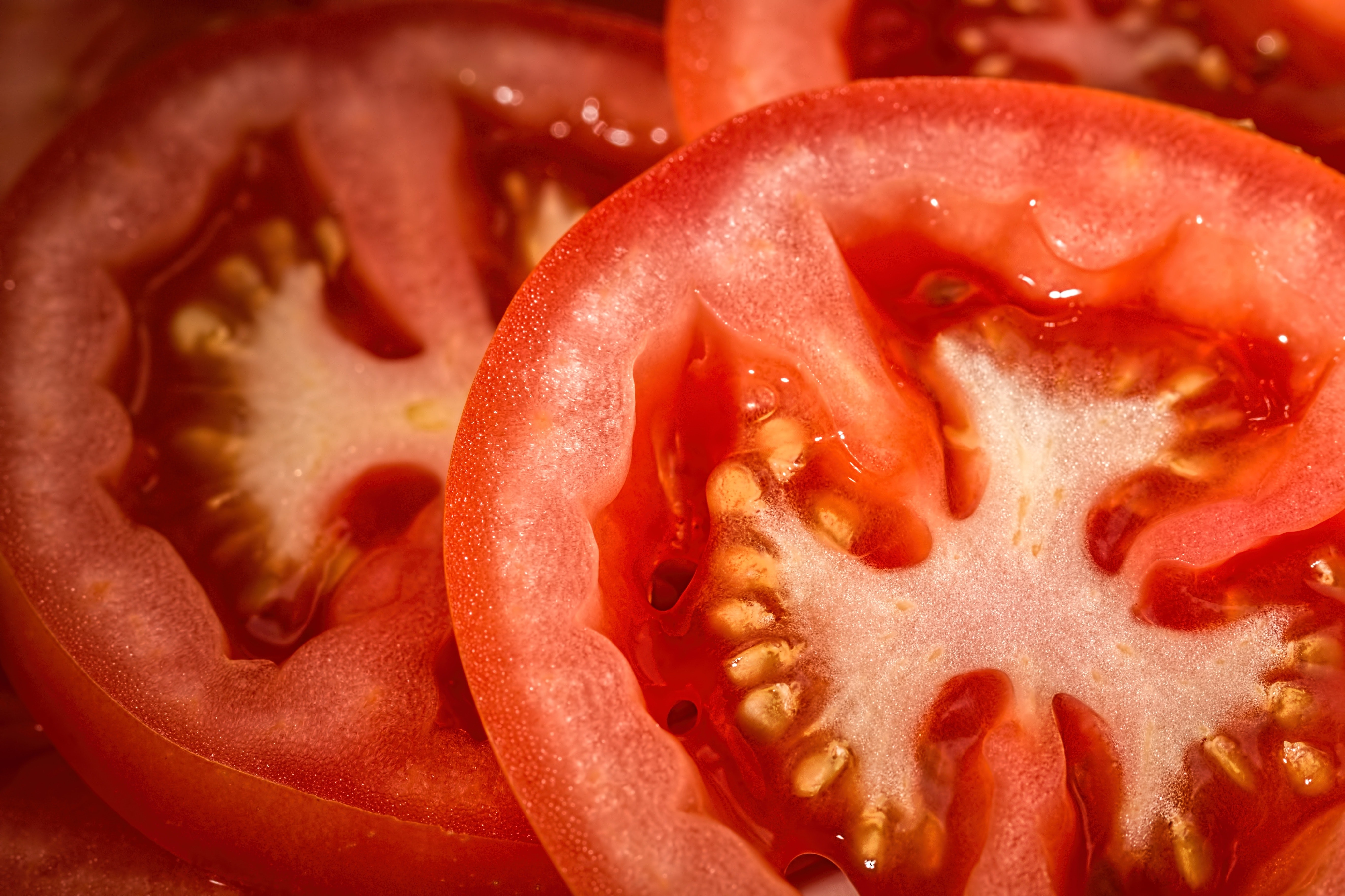 tomate (Foto: Pexels)