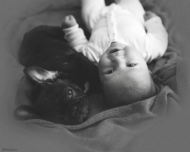 Bebê e buldogue (Foto: Ivette Ivens)