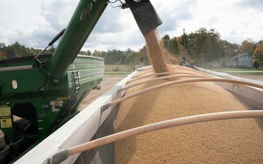 Colheita de soja nos Estados Unidos e clima na América do Sul ditam ritmo do mercado de soja