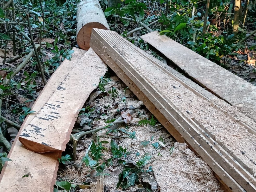 Imac doou madeiras apreendidas em ações contra crimes ambientais — Foto: Arquivo/BPA-AC