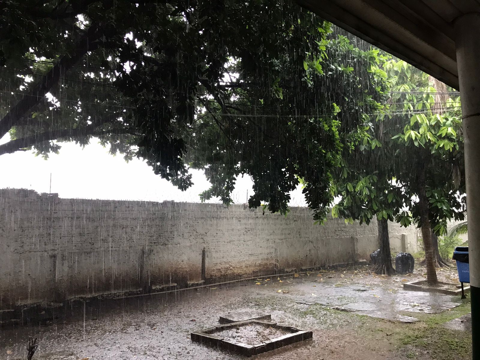 Rondônia entra em alerta de chuvas intensas nesta sexta-feira (11), aponta Inmet 