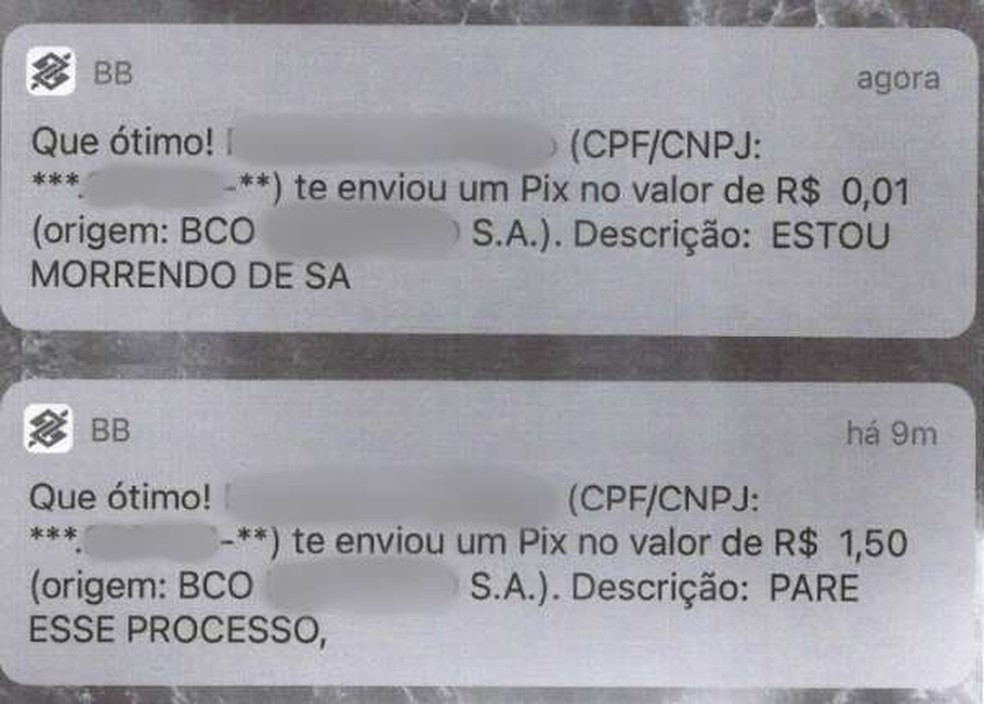 Idoso se comunicava por meio de mensagens digitadas na descrição da transferência bancária — Foto: Polícia Civil