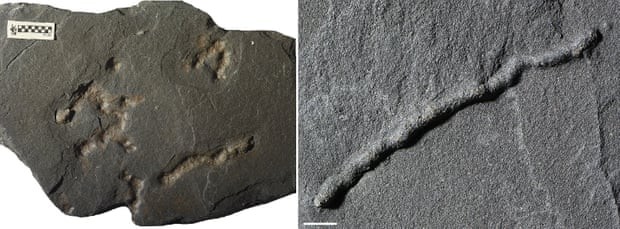 Registros de eucariotos em rochas antigas do Gabão (Foto: A El Albani/IC2MP/CNRS/Earth Science)