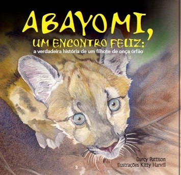 Livro infantil &quot;Abayomi&quot; será lançado em Campinas (Foto: Reprodução/ Abayomi)