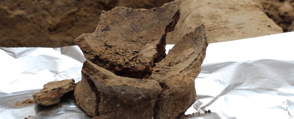 Fragmentos do pote de cerâmica encontrados (Foto: Judyta Olszewski)