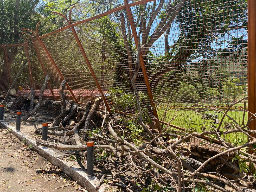 Grades de um balneário foram derrubadas após forte ventania em Barbalha — Foto: Edson Freitas/TV Verdes Mares