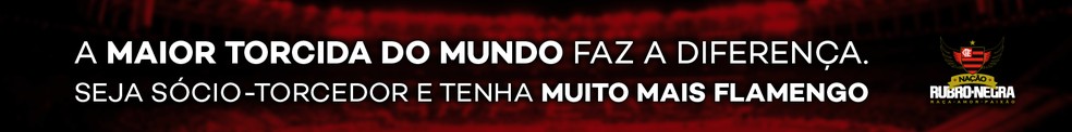 Novo banner flamengo — Foto: Divulgação