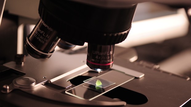lab ; laboratório ; inovação ; ciência ; microscópio ; universidade (Foto: Pexels)