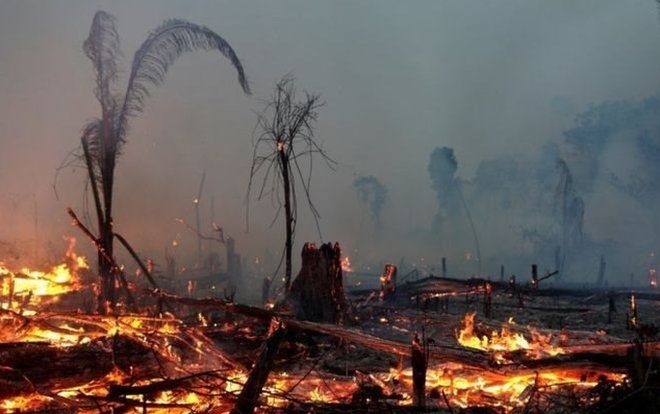 Amazônia em chamas  (Foto: Reuters, via BBC )