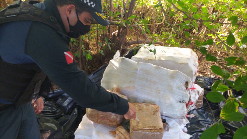 Coronel Aldemar Maués comandou operação que apreendeu cerca de 300 kg de drogas no Maicá — Foto: Polícia Militar/Divulgação
