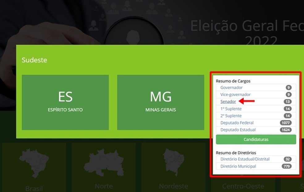 Na página do TSE, após selecionar um estado e o cargo correto, público consegue ver a lista de candidatos a senador em 2022 — Foto: Reprodução/Gabriela Andrade