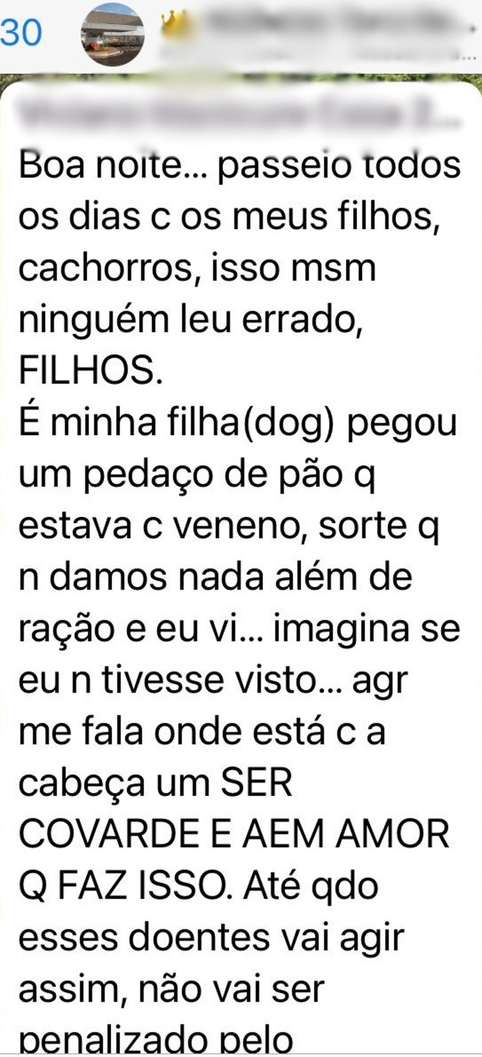 Moradores de condomínio reclamam de possível envenenamento de pets em Marília (SP) — Foto: Arquivo Pessoal
