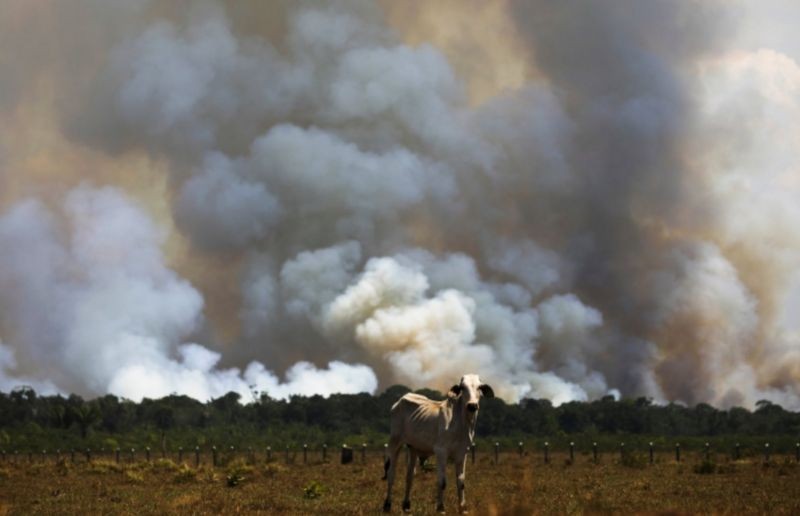 Dados levantados pela BBC News Brasil mostram corte em pesquisas sobre mudanças climáticas no Brasil (Foto: Reuters via BBC News Brasil)