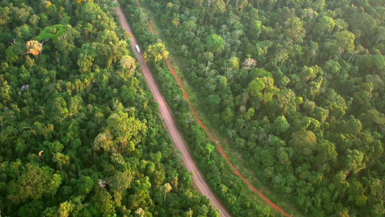 floresta-meio-ambiente-foto-aerea-mata-sustentabilidade-estada-aquecimento-global-efeito-estufa (Foto: Ana Cotta/CCommons)