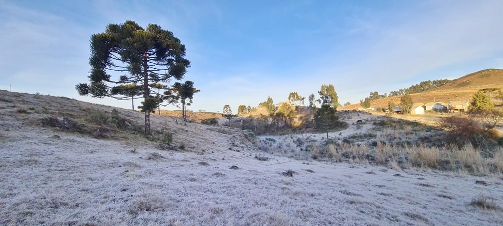 Geada em São Joaquim em 04 de julho de 2021  — Foto: Mycchel Legnaghi/São Joaquim Online