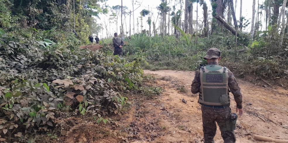 Polícia ambiental em ação para combater desmatamento no Parque Guajará-Mirim — Foto: Reprodução