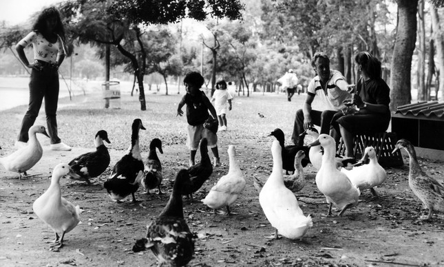 Crianças brincam com animais no parque, em fevereiro de 1991