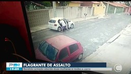 Vídeo mostra bandido roubando carro com cachorro dentro