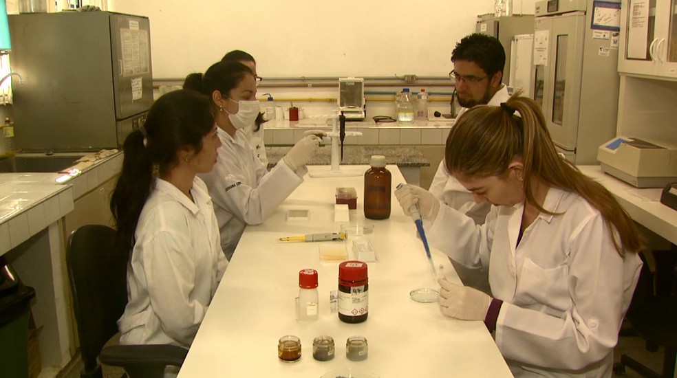 Grupo agora aguarda interesse de empresa farmacêutica (Foto: Marlon Tavoni/EPTV)