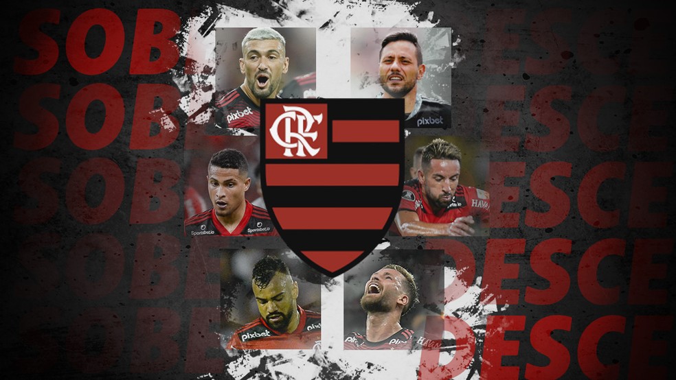 Sobe e desce do Flamengo — Foto: ge
