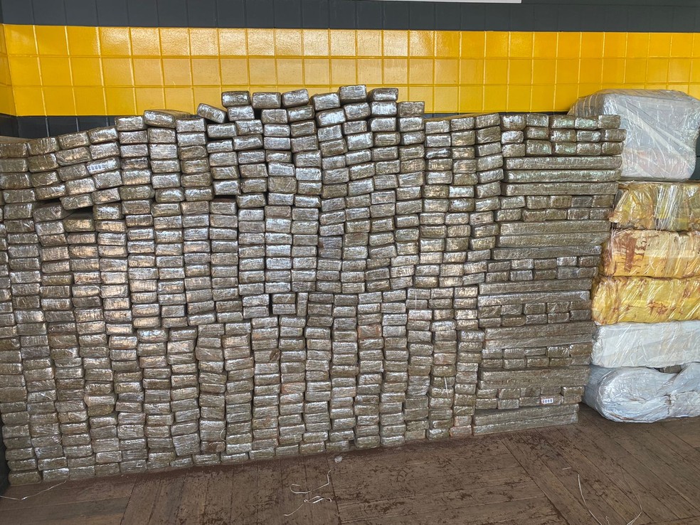 Polícia apreende quase 1 tonelada de maconha em Rio Claro — Foto: Gabriela Ferraz/EPTV