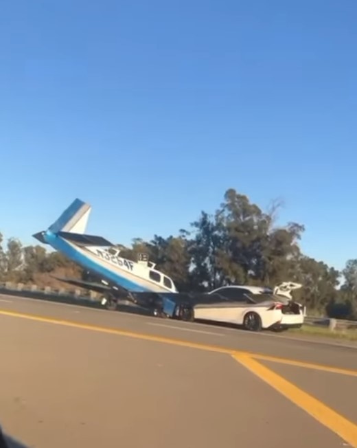 Avião de pequeno porte faz pouso forçado em rodovia dos Estados Unidos (Foto: reprodução/youtube)
