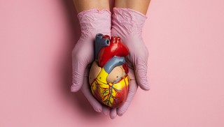 Doenças do coração matam quase um terço dos brasileiros; estilo de vida é um dos fatores de risco