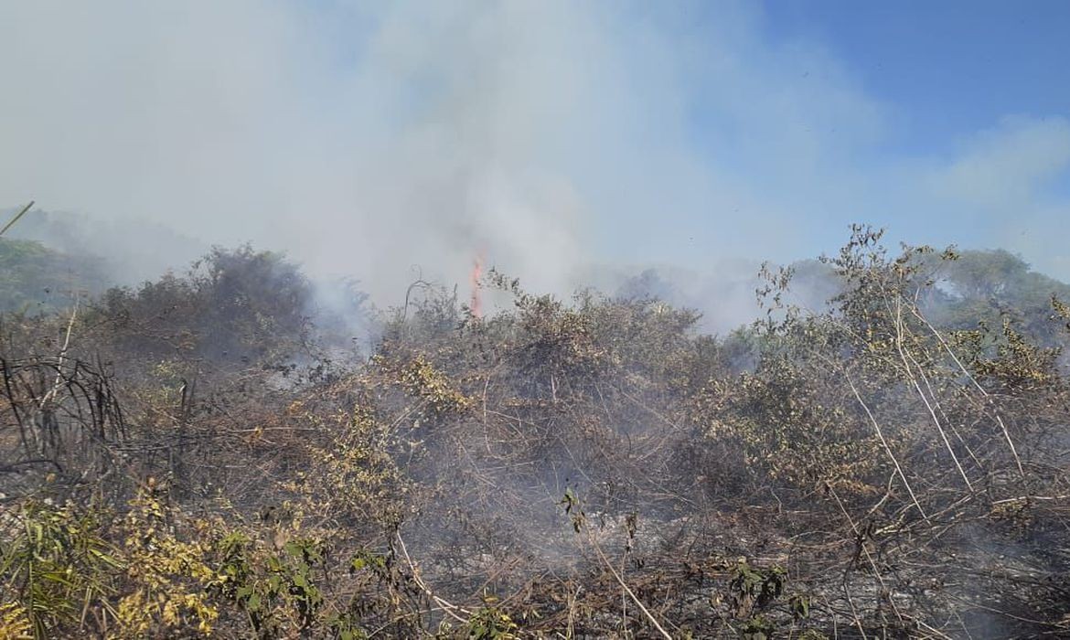 Incêndio no Pantanal em Mato Grosso do Sul (Foto: Ascom/CBMMS)