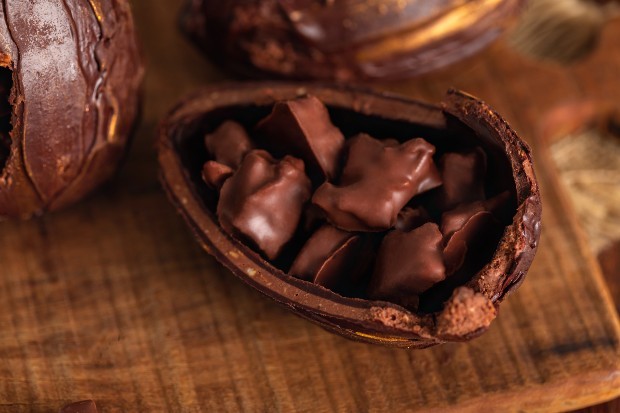Ambar Chocolates (Foto:  )