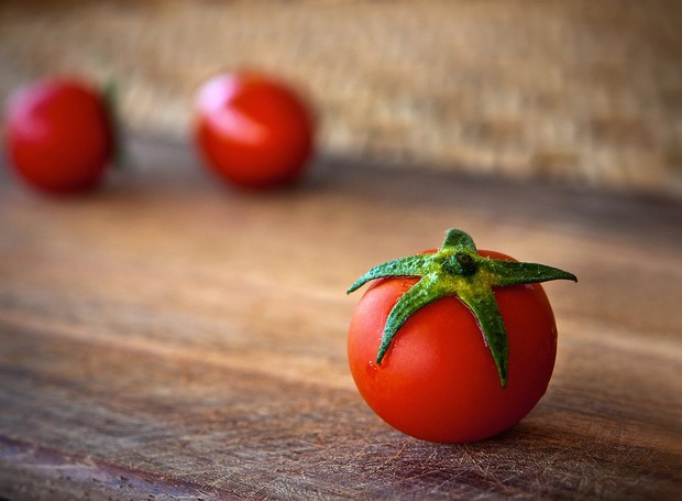 O tomate pode fazer bem ou mal dependendo da forma que é oferecida ao pet (Foto: Pixabay / ha11ok / CreativeCommons)