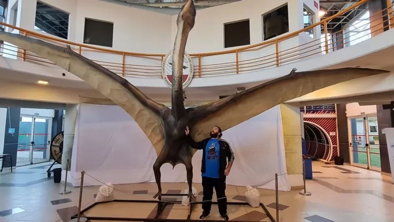 O paleontólogo Leonardo Ortiz ao lado de uma réplica em tamanho real da espécie recém-descoberta (Foto: Leonardo Ortiz via BBC News)