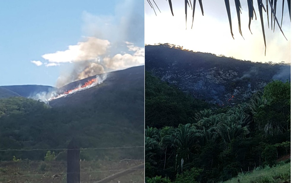 Fogo já destruiu área do tamanho de 40 campos de futebol  — Foto: Divulgação/Secretaria de Meio Ambiente 