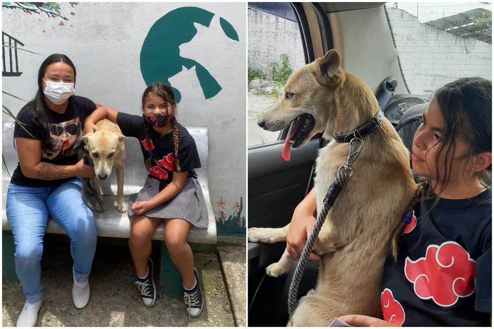 Cachorro que ficou em frente a hospital esperando dono que morreu reencontrou antiga família em Guarujá, SP — Foto: Arquivo Pessoal