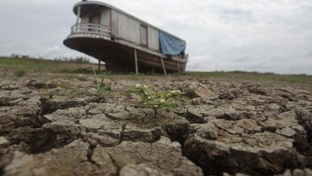 BBC- Seca em região amazônica, em foto de 2010; estudos apontam que região está sob risco de savanização (Foto: Reuters via BBC News Brasil)