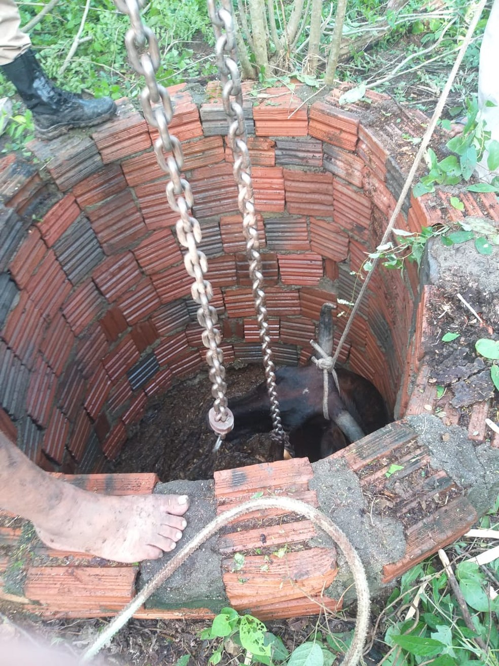 Poço artesiano em que a vaca caiu — Foto: Corpo de Bombeiros/Divulgação