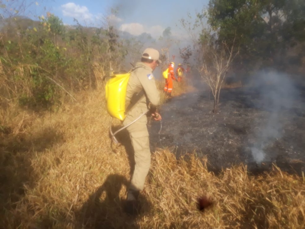 Bombeiros e moradores da região combateram o fogo (Foto: Divulgação/Corpo de Bombeiros)